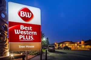 Picture of Best Western Plus Tree House