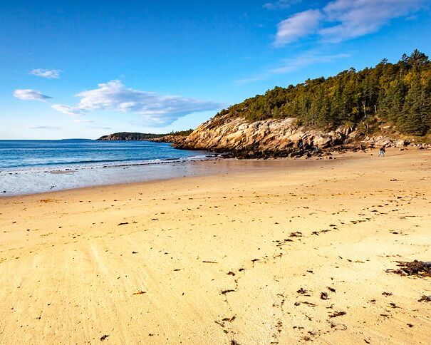 Picture of Sand Beach Acadia National Park