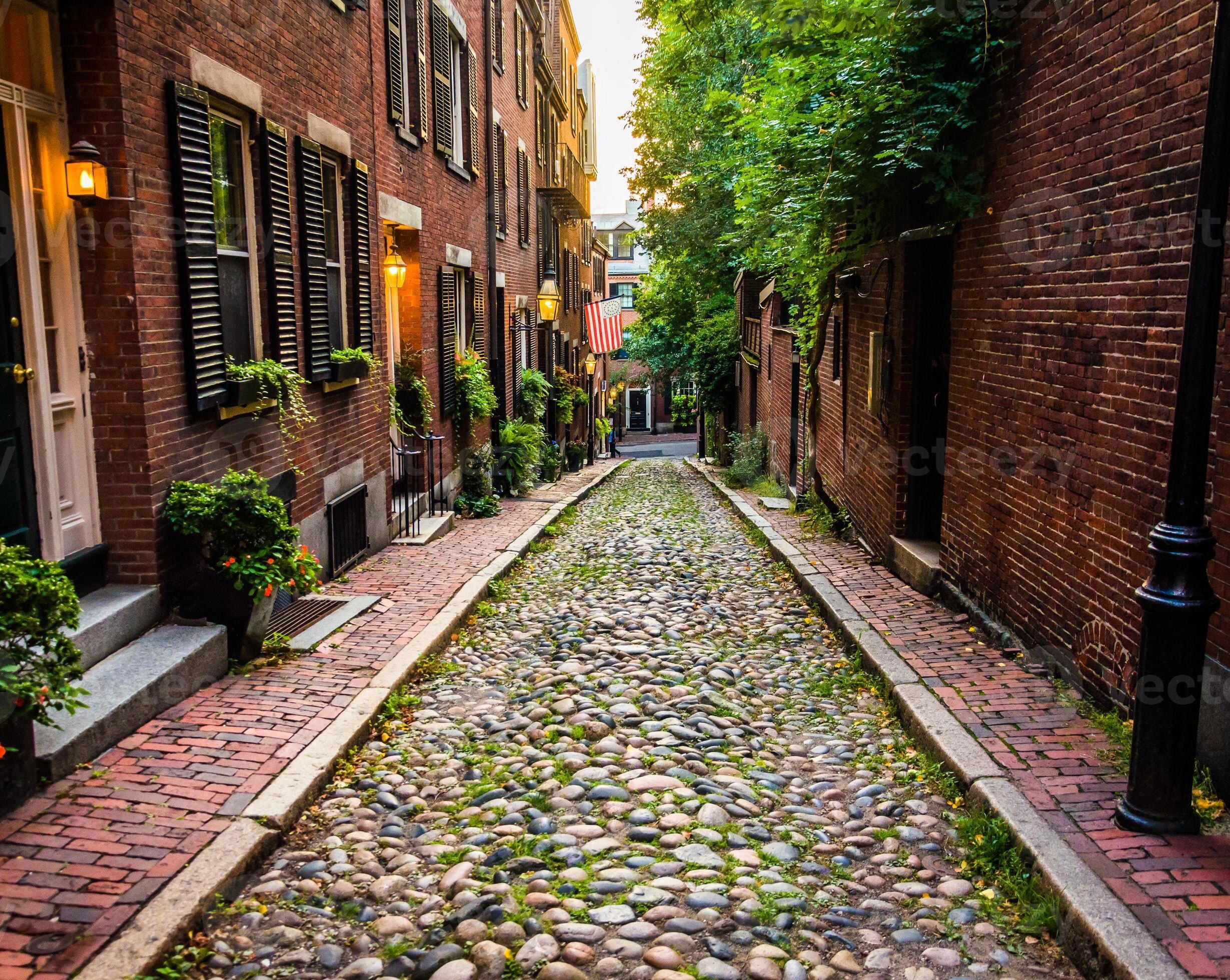 Picture of Acorn Street