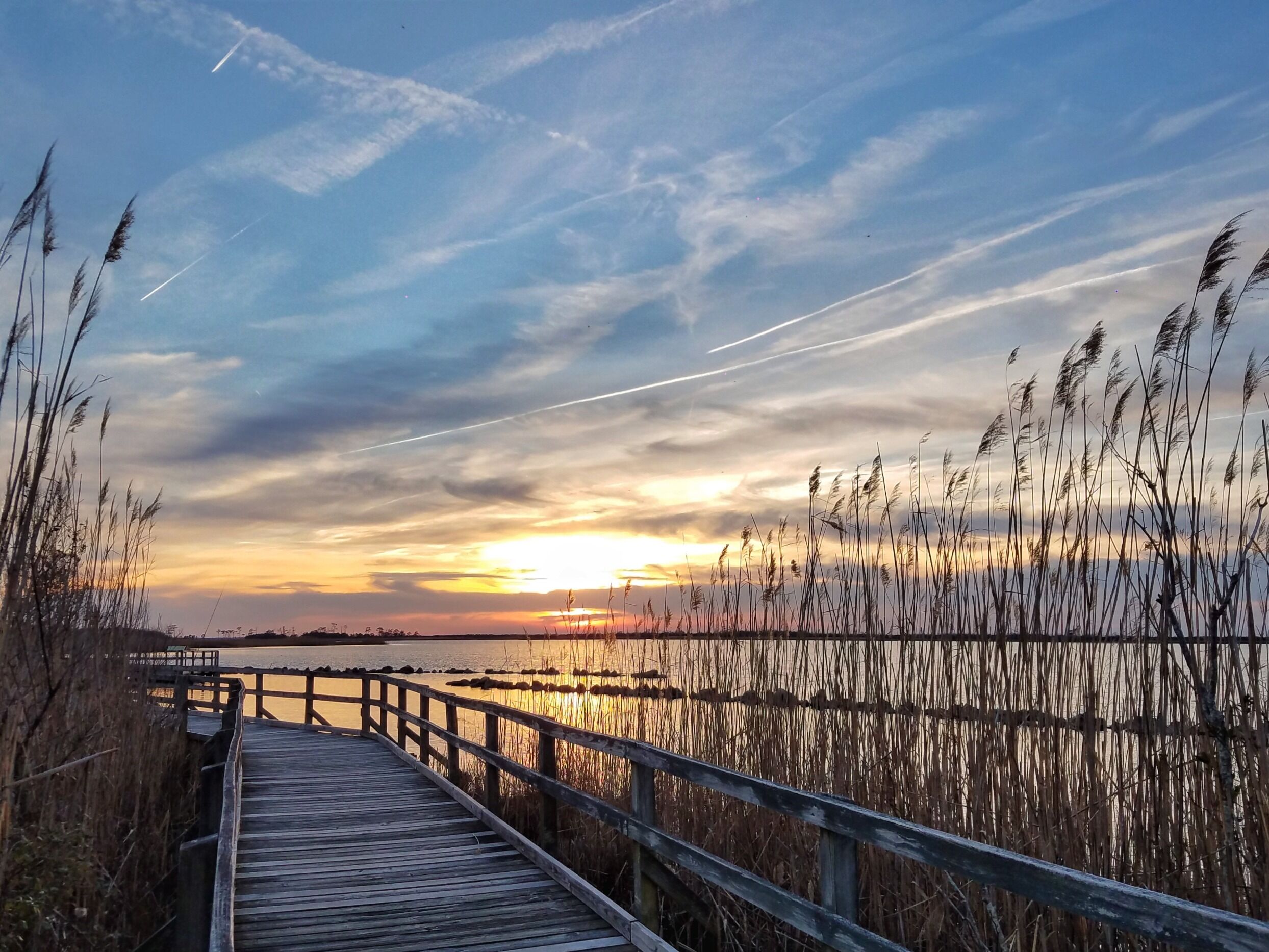 Picture of Back Bay National Wildlife Refuge