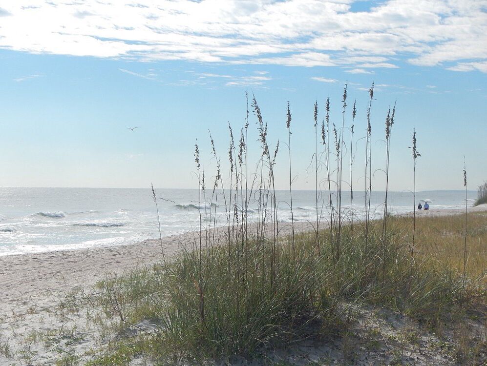 Picture of Peters Point Beachfront Park