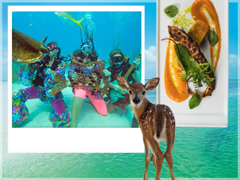 From left: Lower Keys Underwater Music Festival, Milagro, Deer Run, located in Big Pine Key, Florida