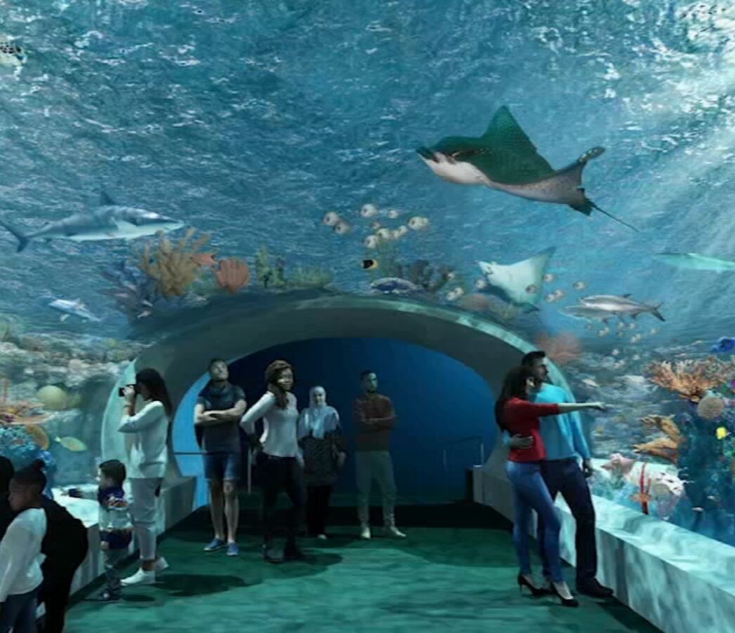 Picture of Shedd Aquarium