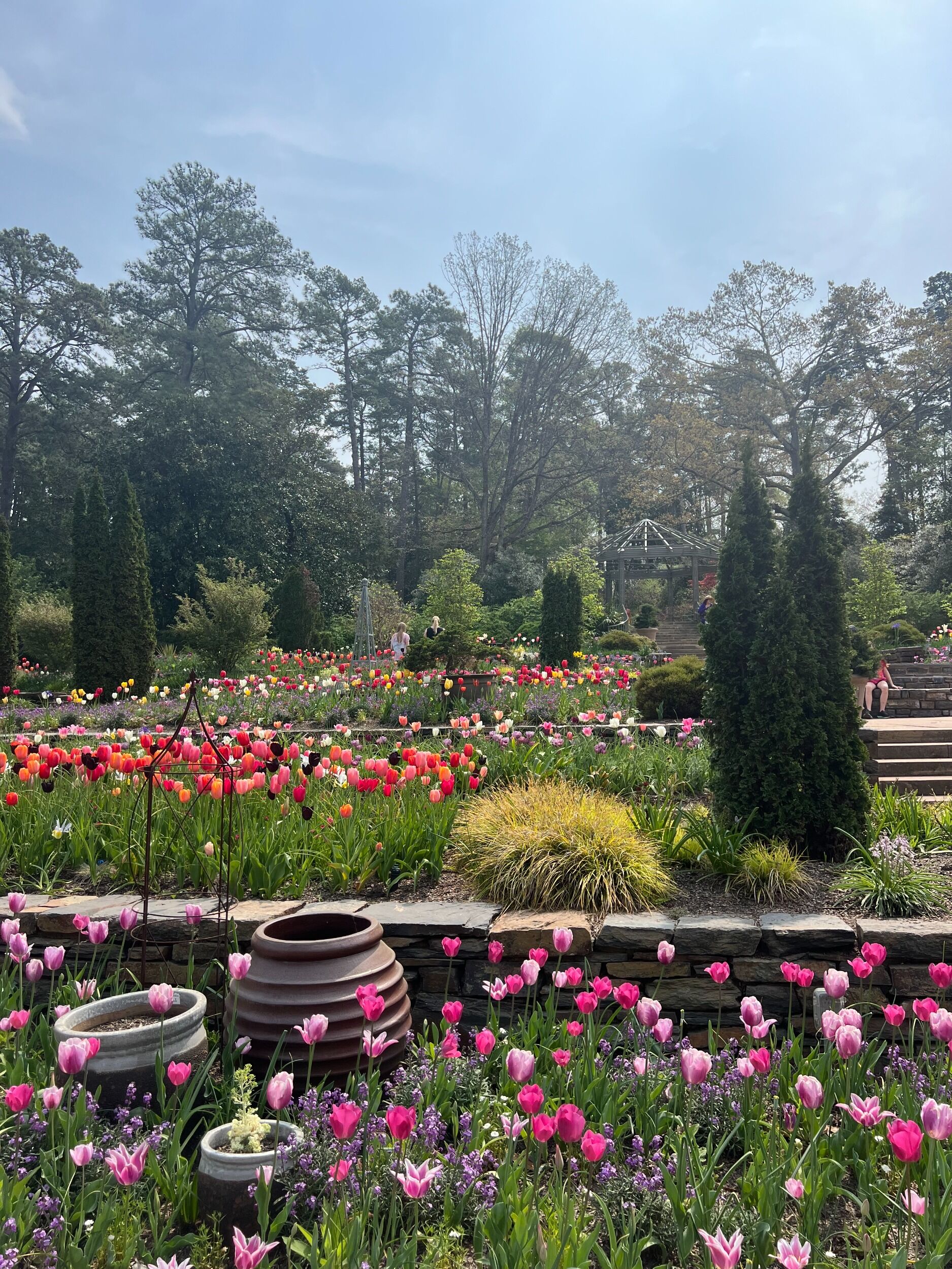 Picture of Sarah P. Duke Gardens