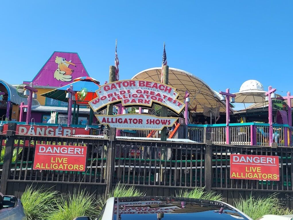 Picture of Gator Beach - The World's Greatest Alligator Park