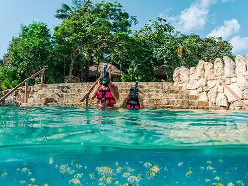 Picture of XCARET