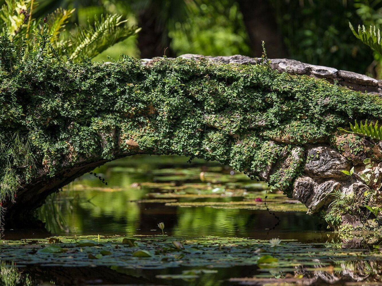 Picture of McKee Botanical Garden