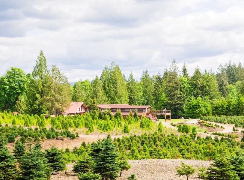 Wedding Ceremony, 4:30pm
Trinity Tree Farm, The Barn

The main event!!! 
