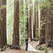 Redwood Forest Wedding at Santa Lucia Preserve
