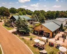 Picture of Arrington Vineyards