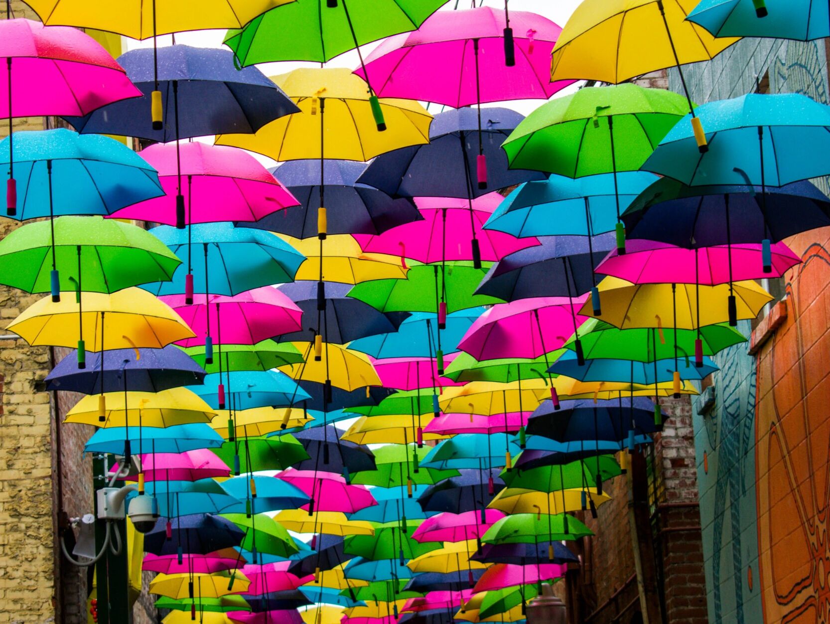 Picture of Orange Street Alley
