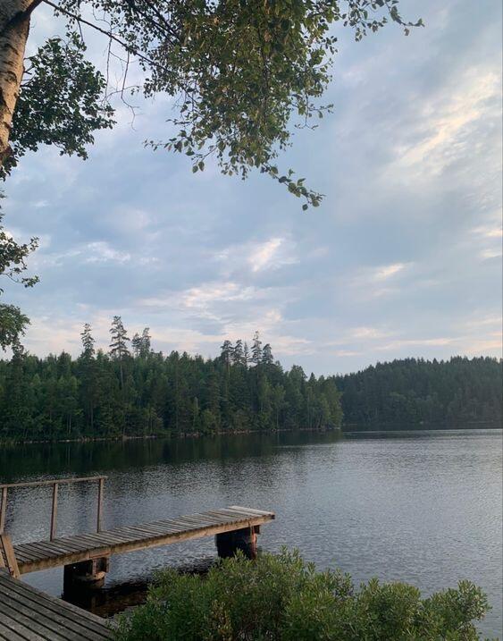 Picture of Land Between The Lakes 
