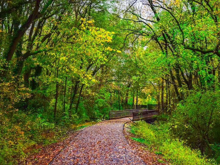 Picture of Swamp Rabbit trail