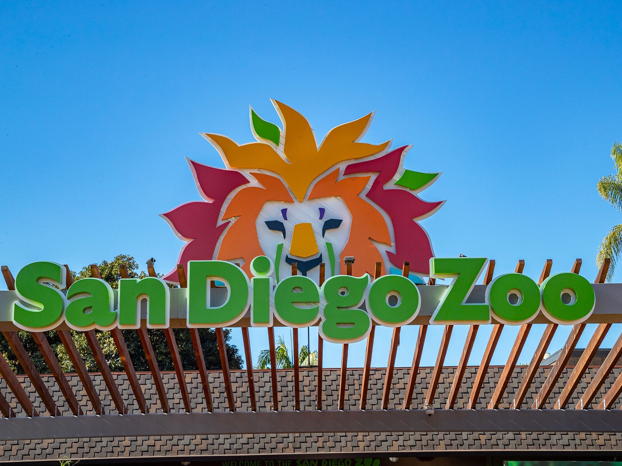 Picture of San Diego Zoo