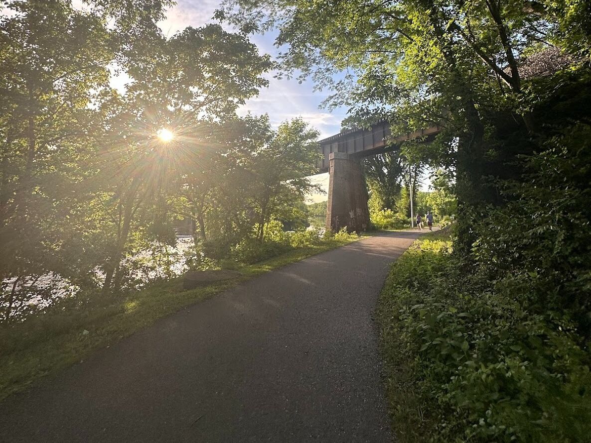 Picture of English Park