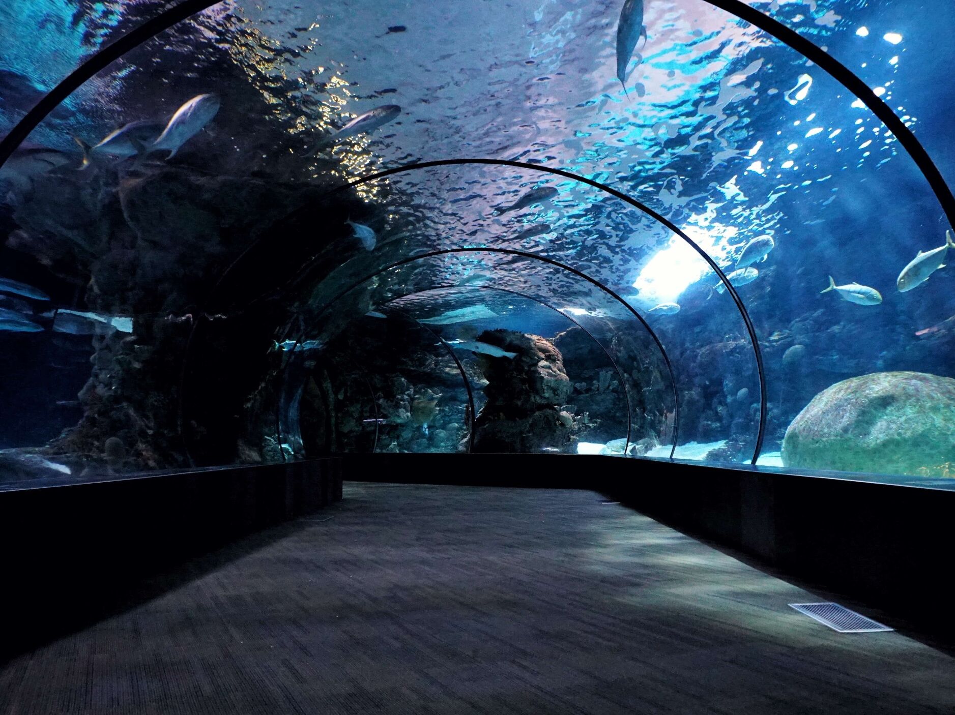 Picture of Oklahoma Aquarium