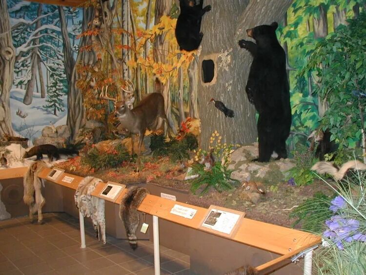 Picture of Up Yonda Farm, Environmental Education Center