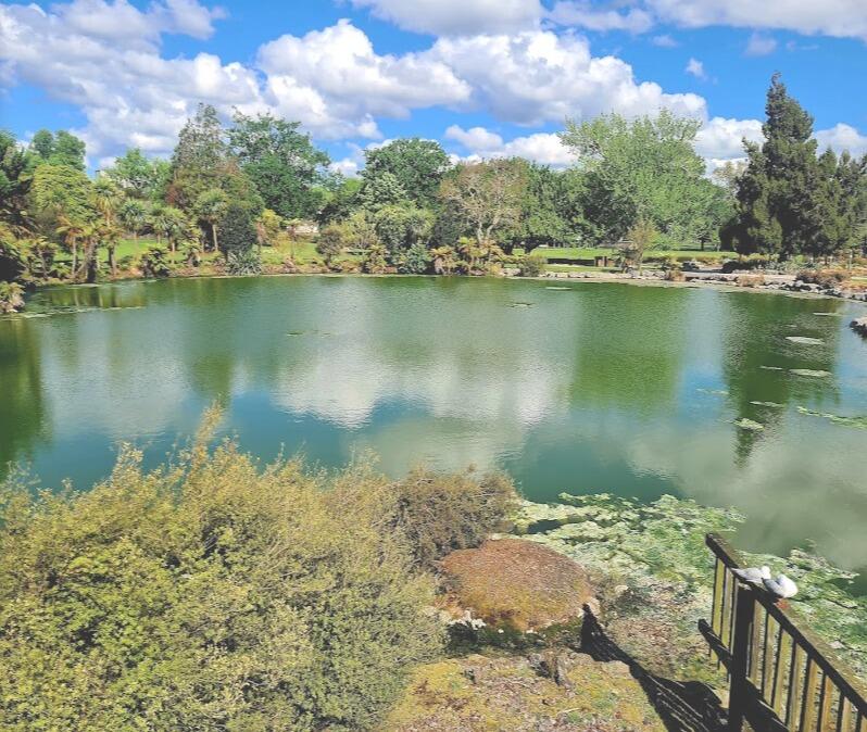 Picture of Kuirau Park