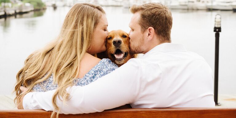 Amy & Zach Home Page Banner