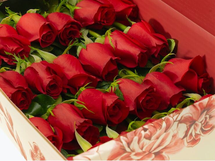 Valentines gift of beautiful red roses. Valentines or anniversary gift of a  bunch of beautiful fragrant red roses for love