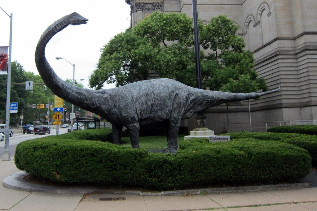 Picture of Carnegie Museum of Natural History