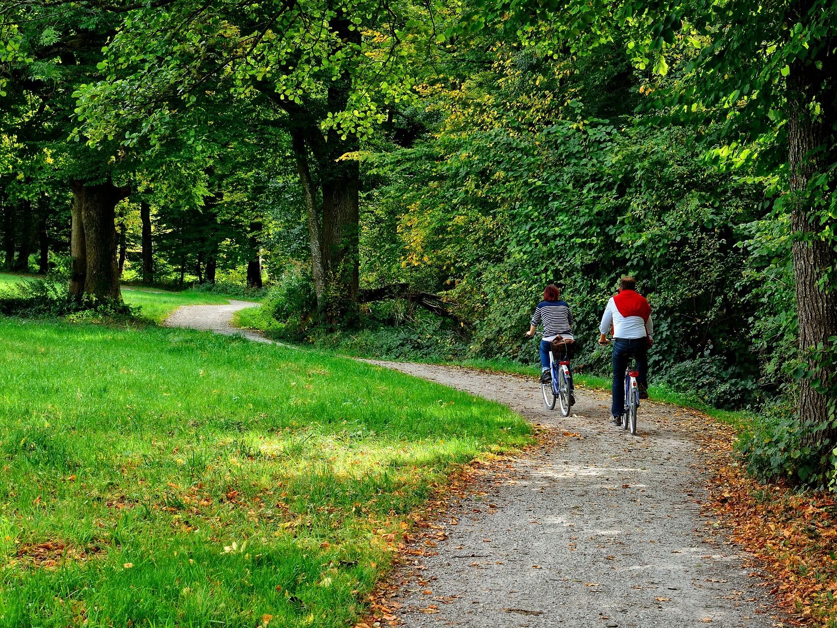 Picture of Bike Rental