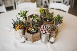 DIY Succulent Centerpieces in Recycled Planters