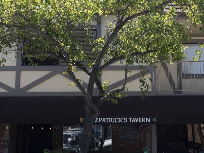 Picture of Fitzpatrick's Tavern