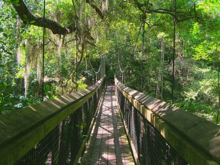 Picture of Ravine Gardens State Park