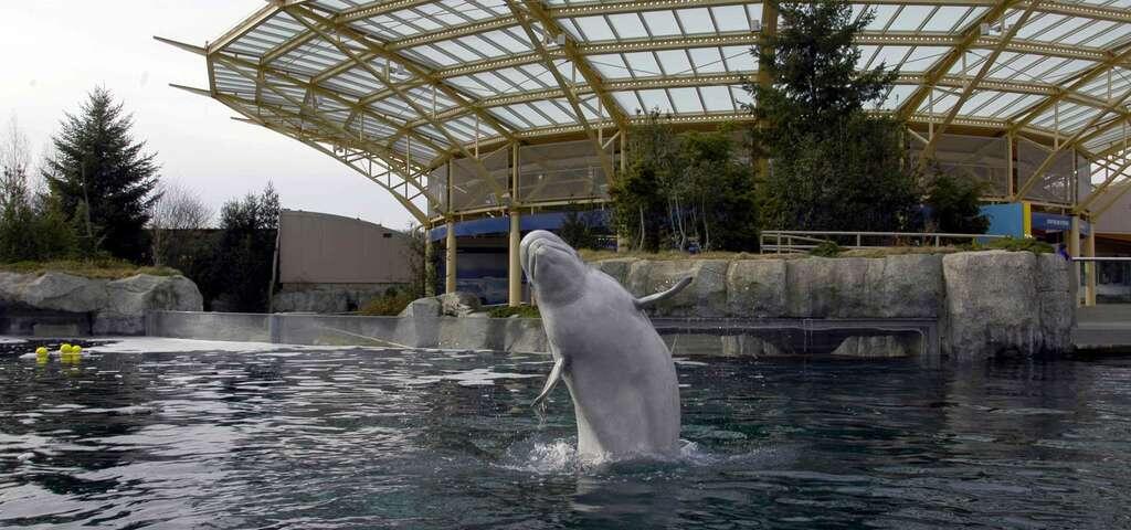 Picture of Mystic Aquarium