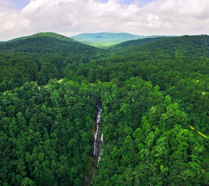 Picture of Amicalola Falls State Park