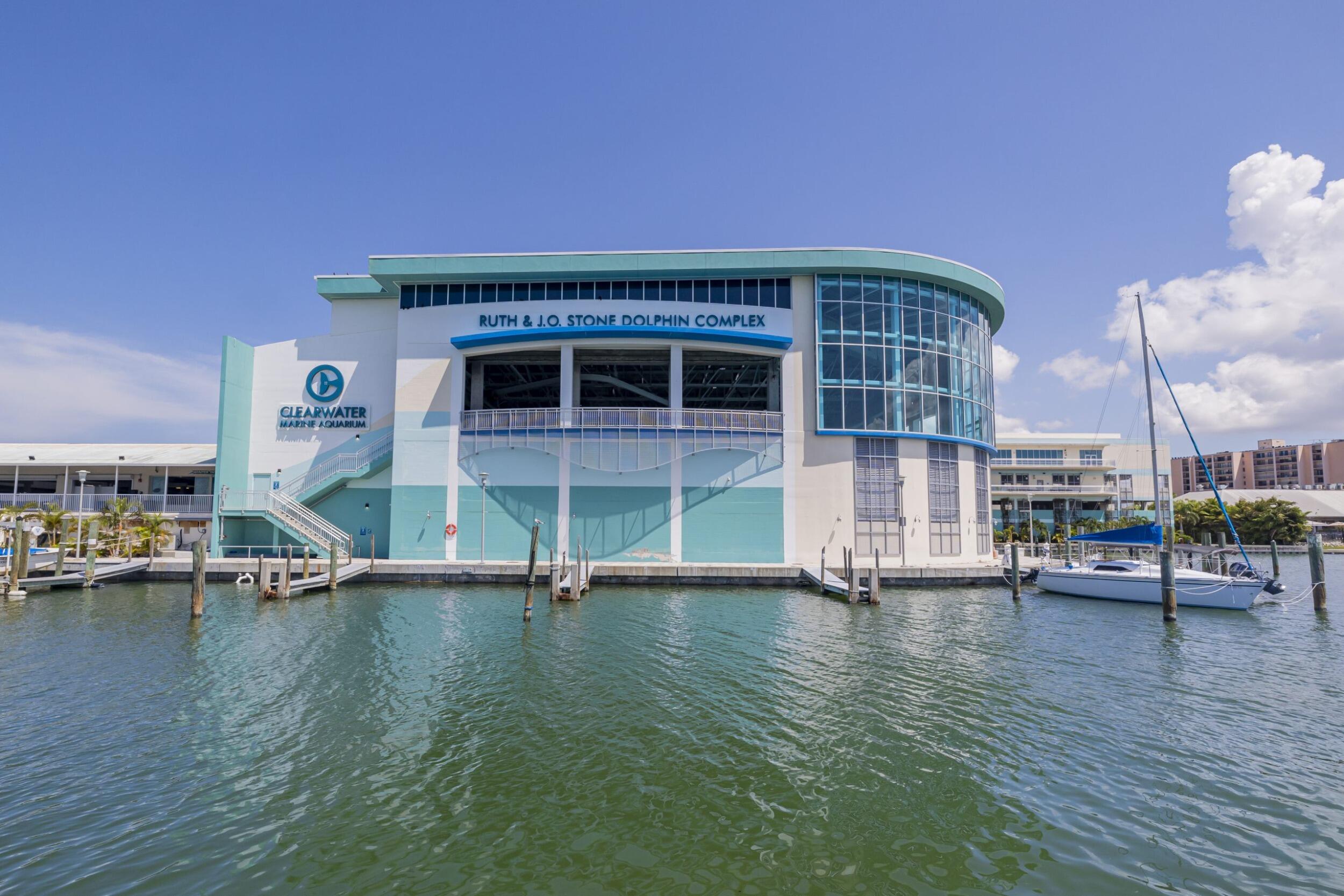 Picture of Clearwater Marine Aquarium