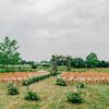 This Couple Blended Lutheran and Hindu Traditions Into Their Parrish Art Museum Wedding in New York
