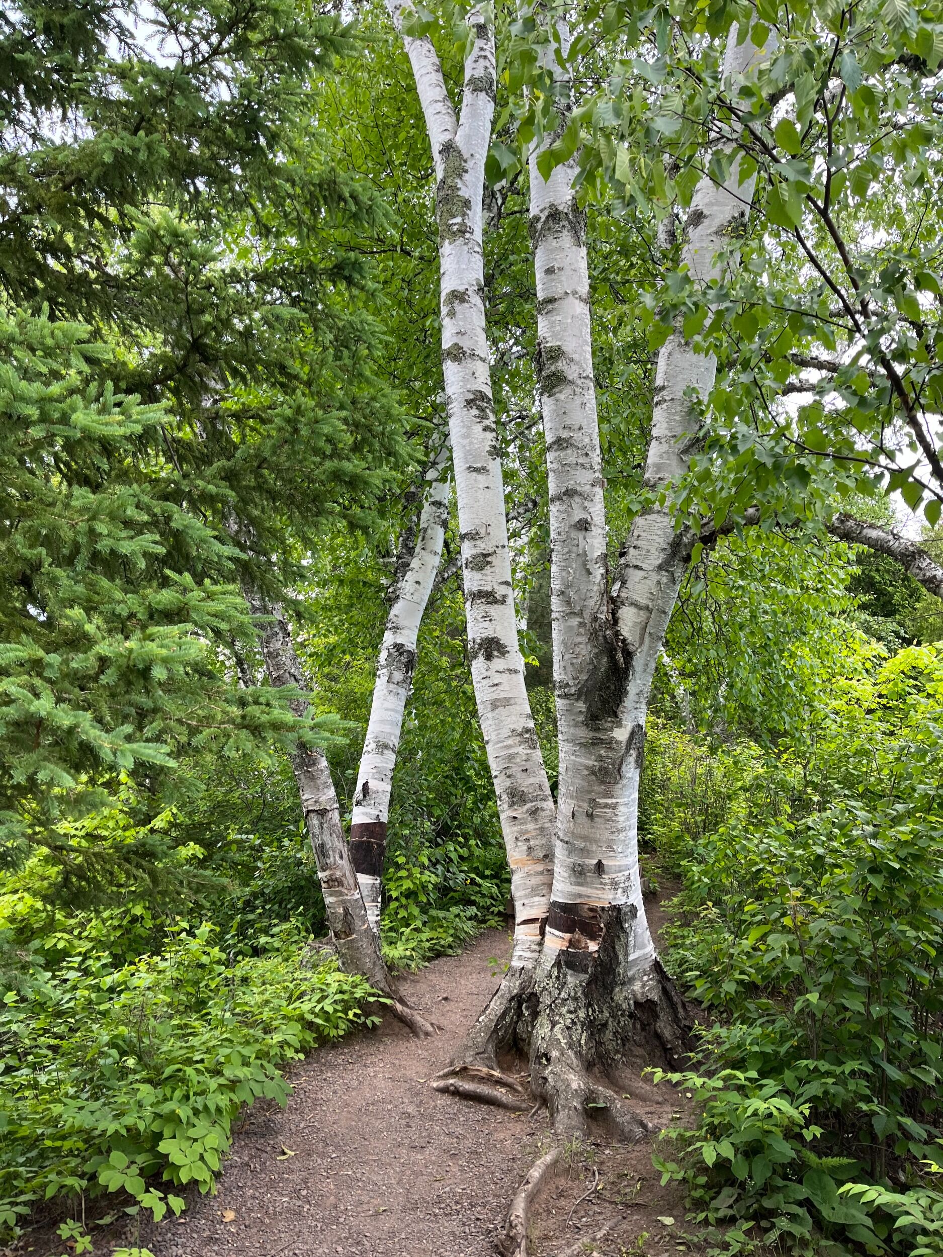 Picture of Fontenelle Forest
