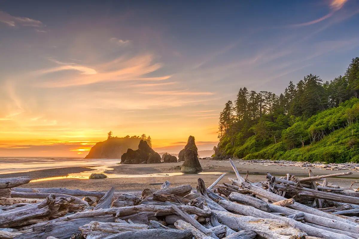Picture of Juan de Fuca Cottages