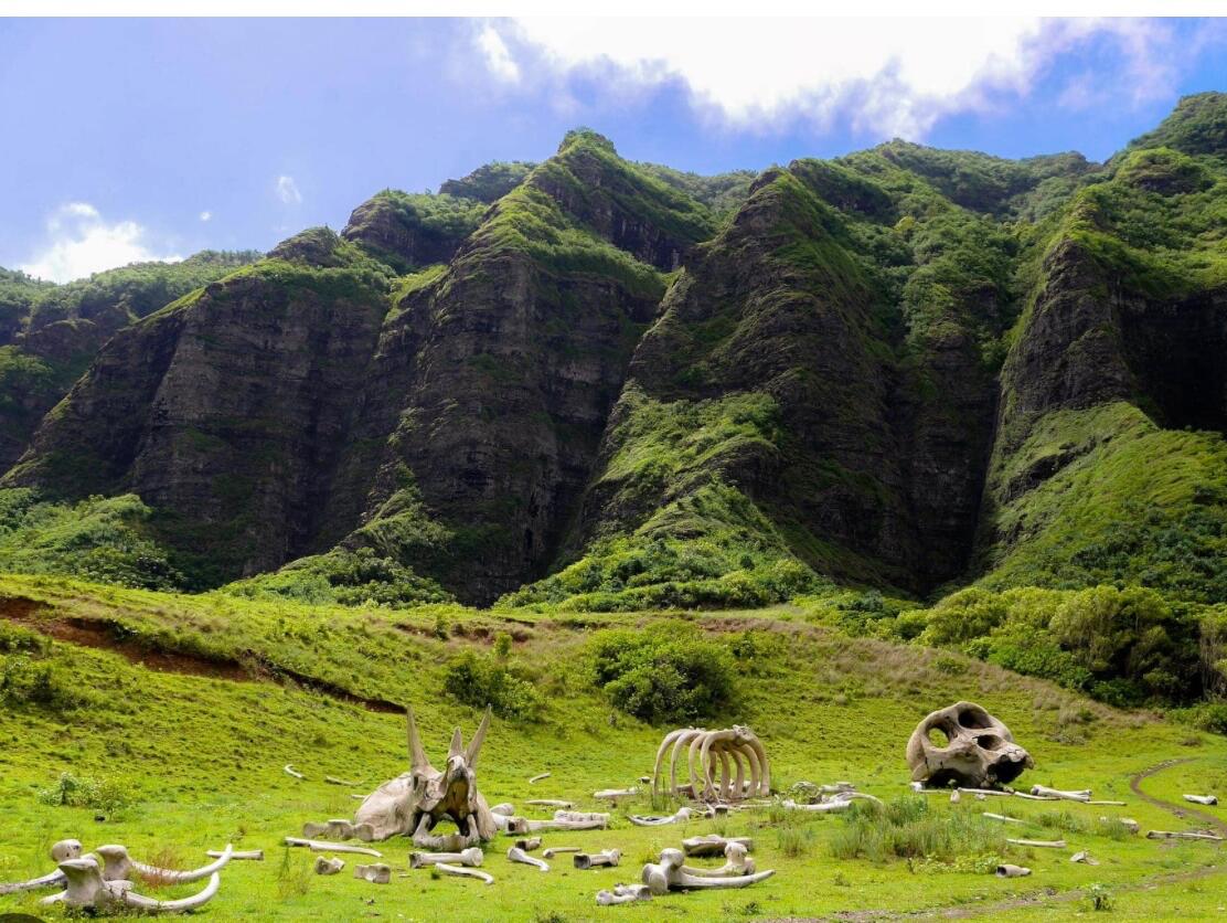 Picture of Kualoa Ranch 