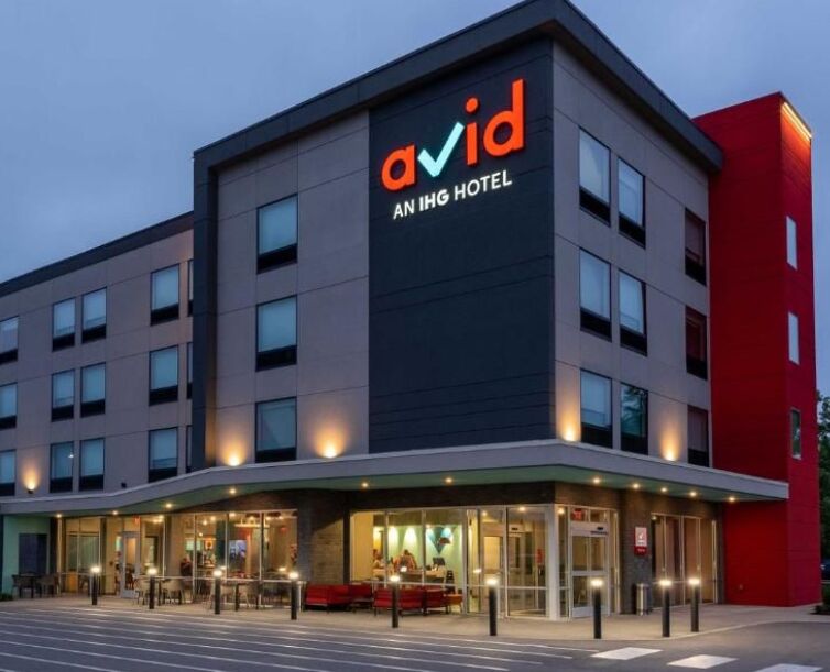 Picture of The Avid