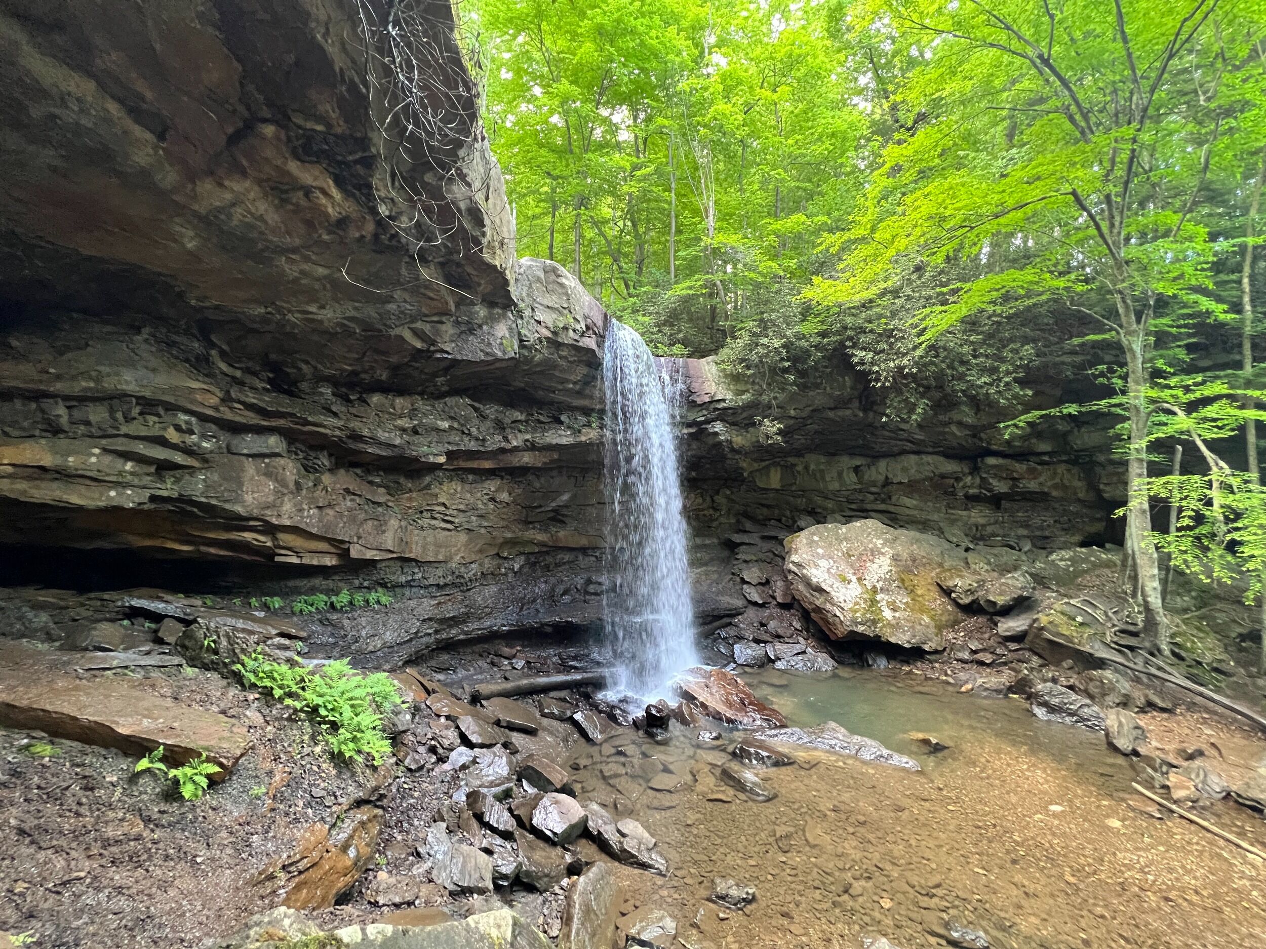 Picture of Ohiopyle State Park