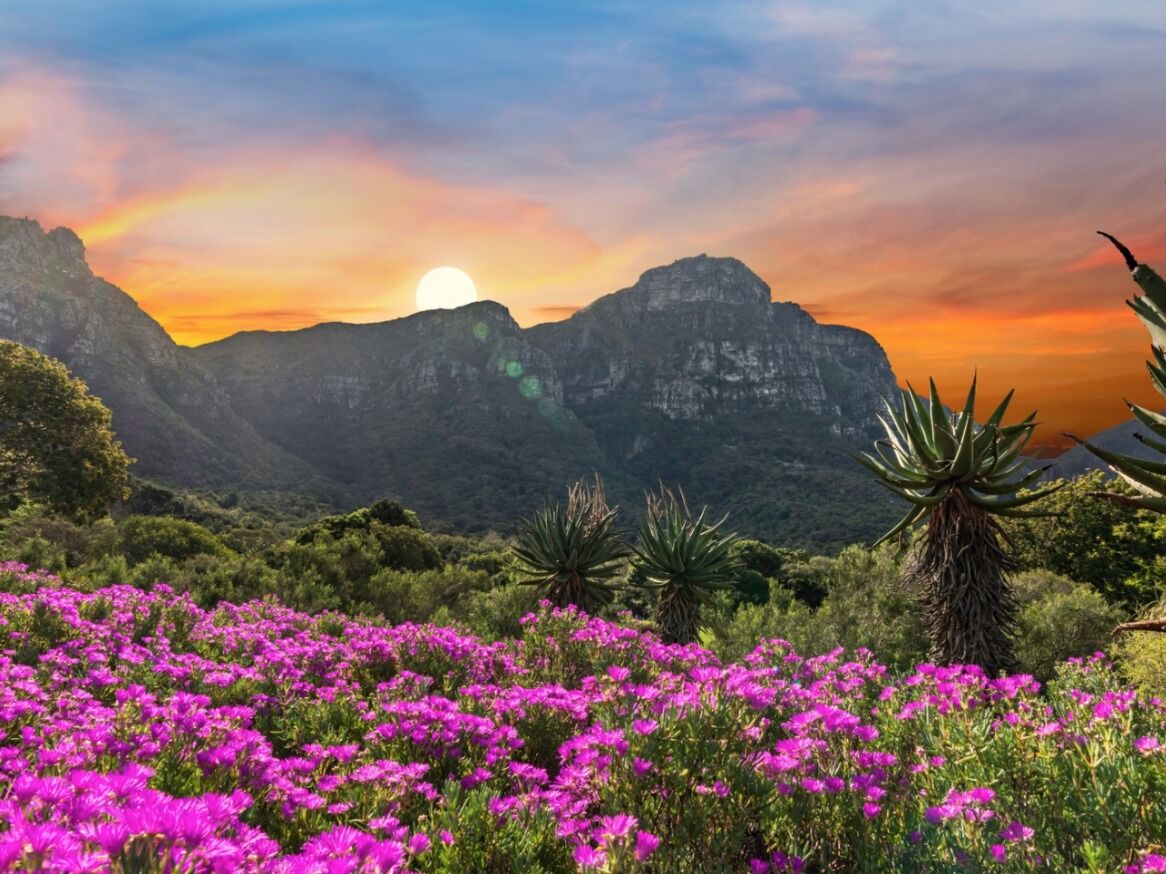 Picture of Kirstenbosch National Botanical Garden