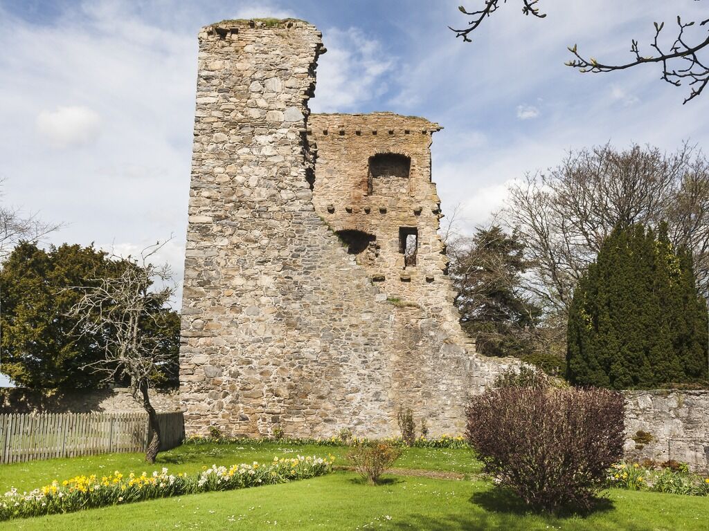 Picture of Drumin Castle