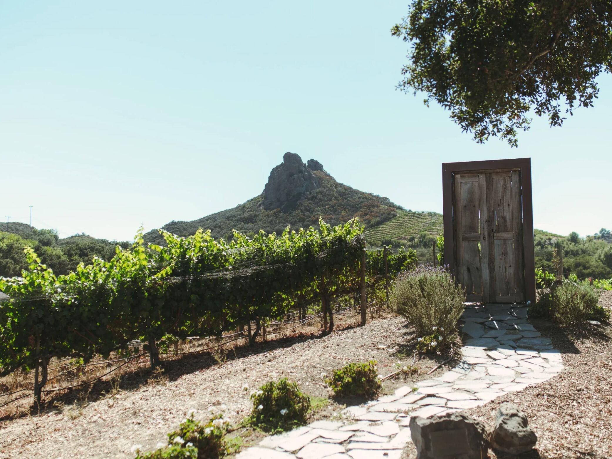 Picture of Malibu Wine Hikes