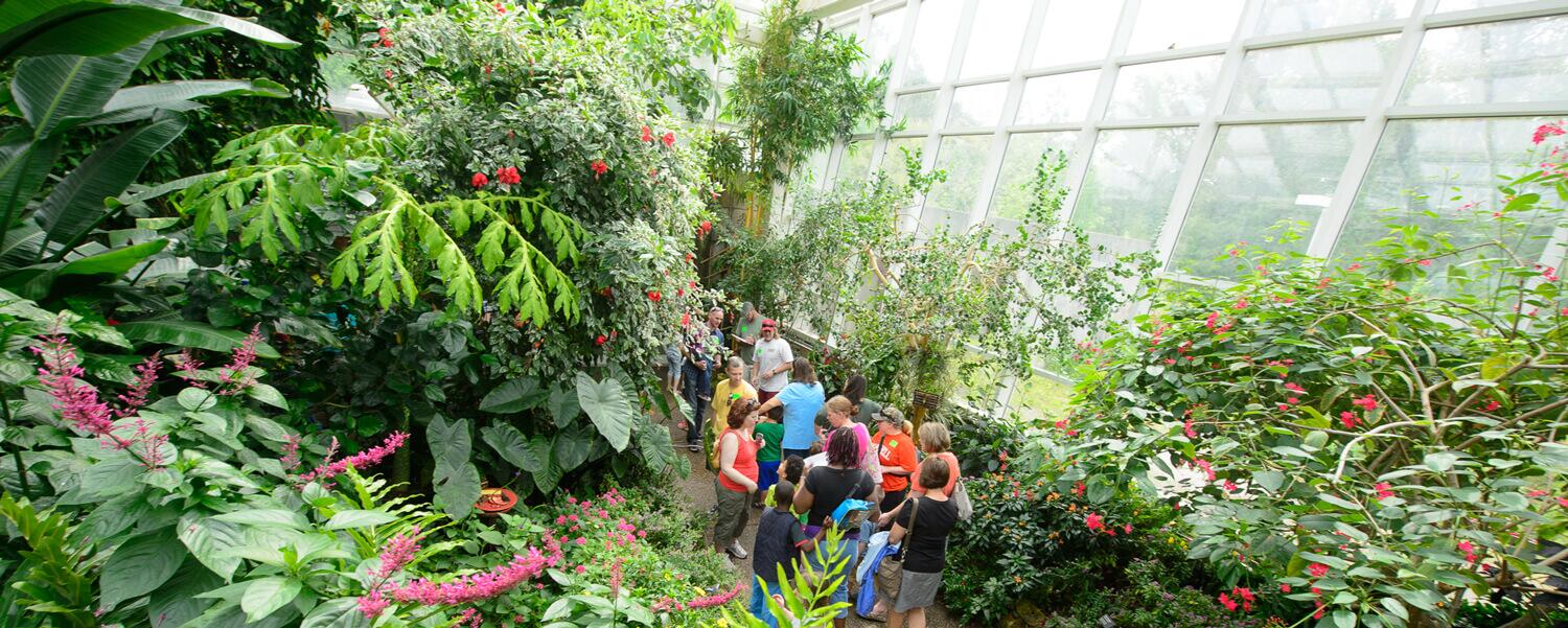 Picture of Magic Wings Butterfly Conservatory