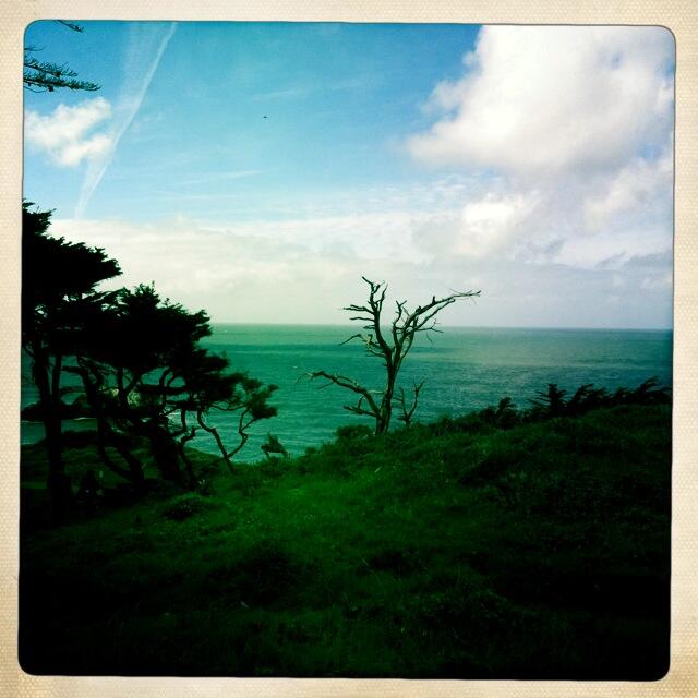 Album Photo 11