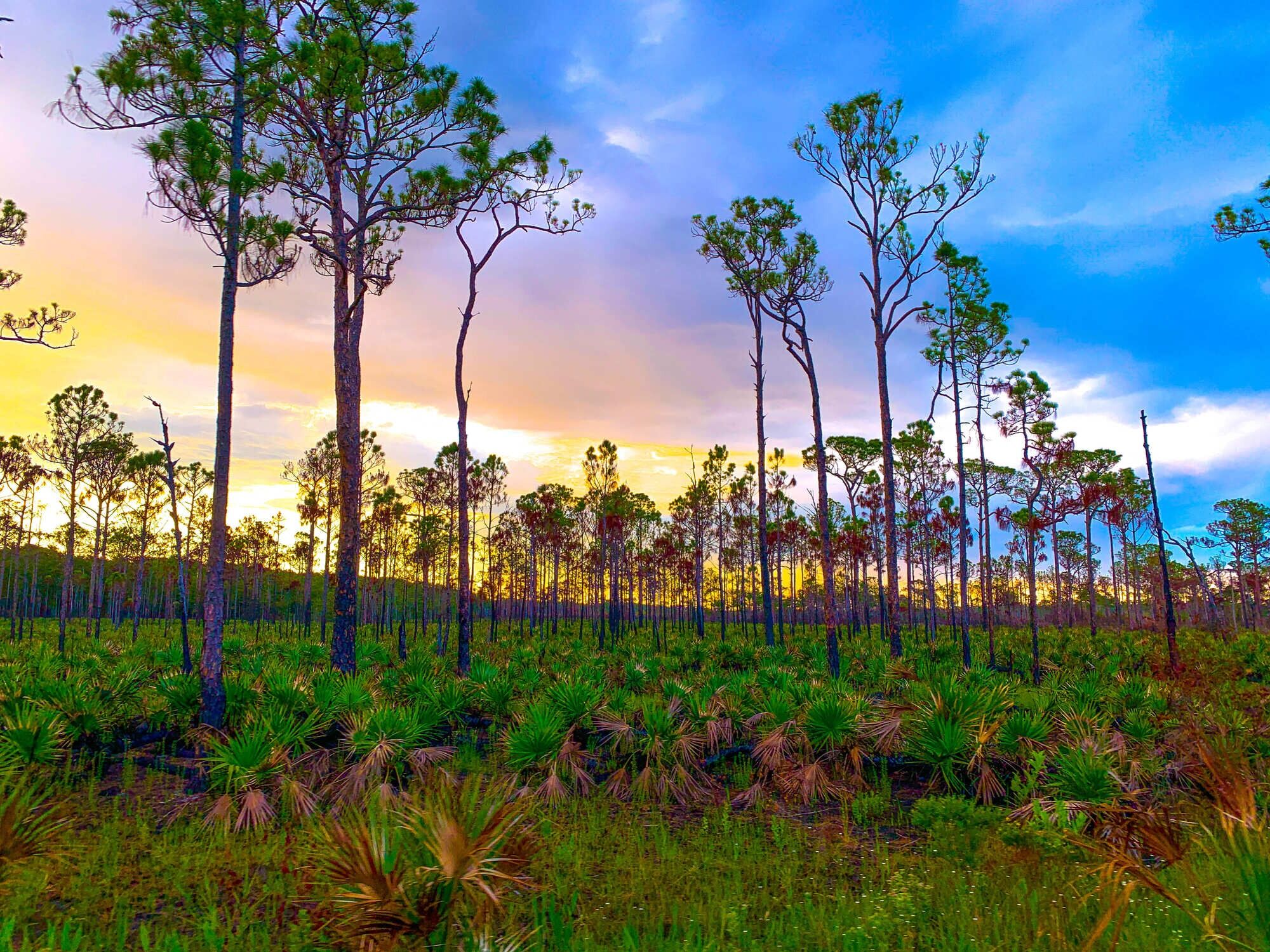 Picture of Jonathan Dickinson State Park