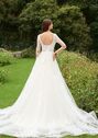 AW Bridal AW DIANTHE WEDDING DRESS A-Line Wedding Dress - thumbnail - 3