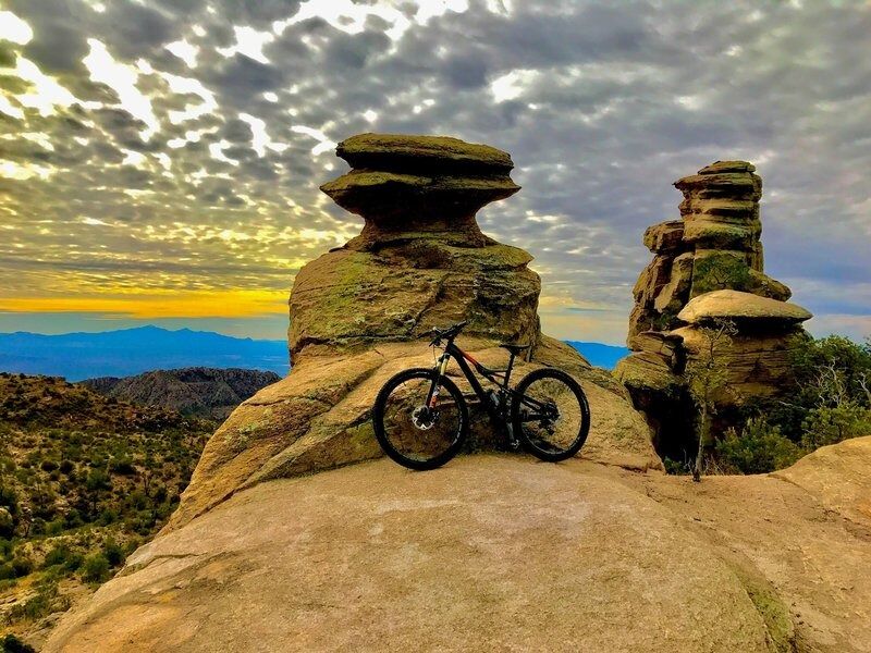 Picture of Mountain Biking