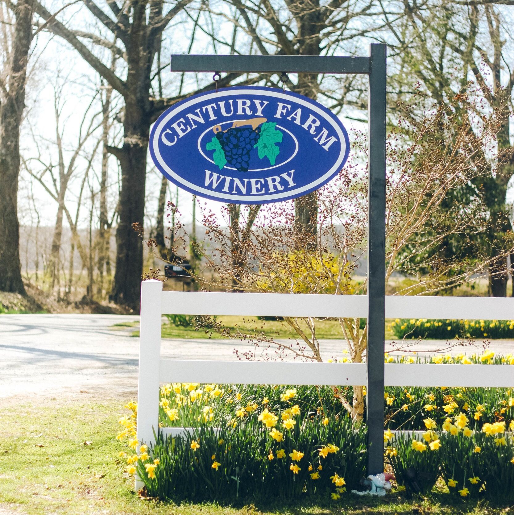 Picture of Century Farm Winery