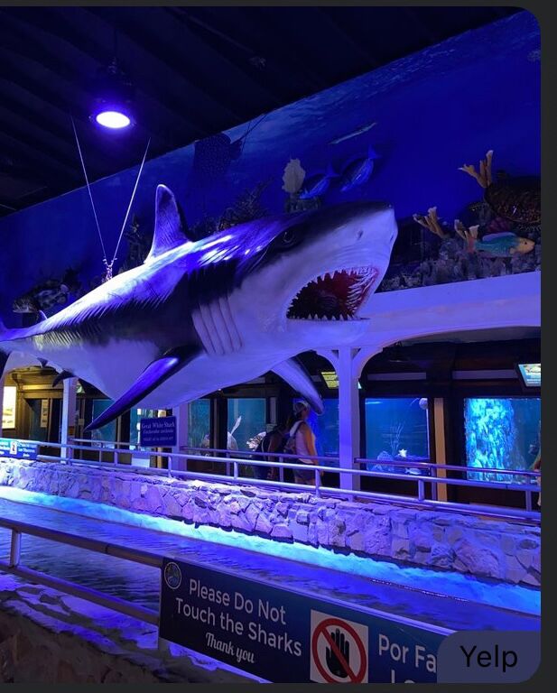 Picture of Key West Aquarium 