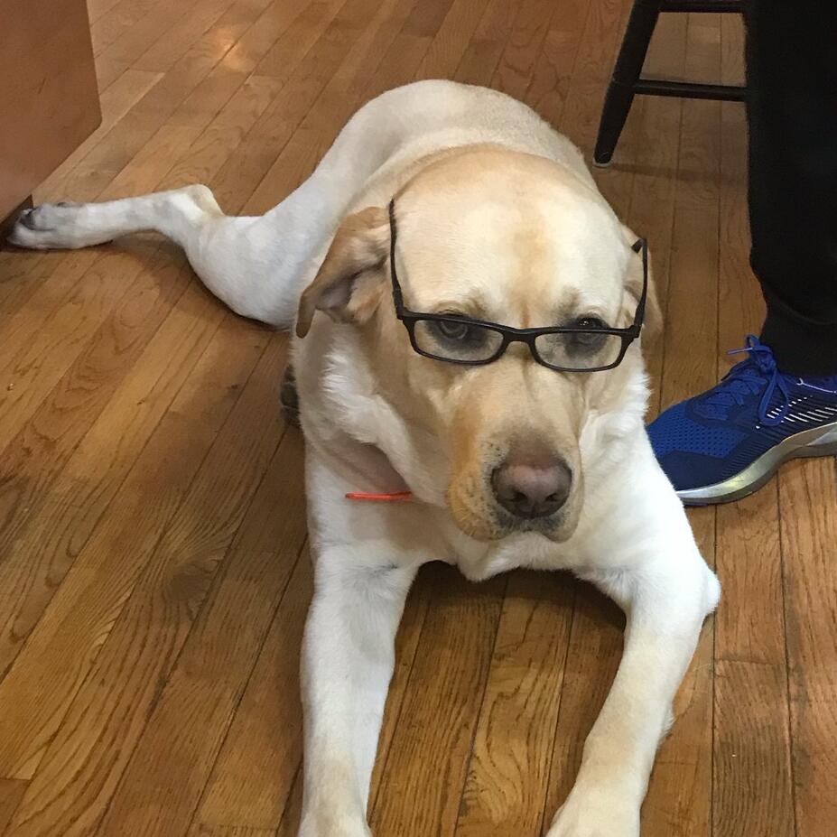 Maverick (aka Bubba)