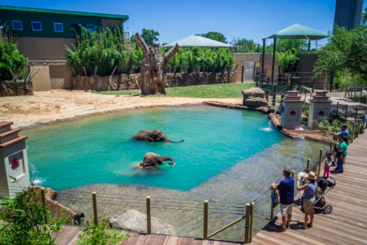 Picture of Houston Zoo